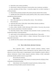 „Žaliosios kortelės“ draudimo sistema 20 puslapis