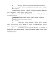 „Žaliosios kortelės“ draudimo sistema 4 puslapis