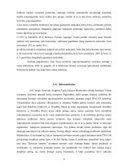 „Žaliosios kortelės“ draudimo sistema 9 puslapis