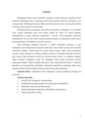UAB „Gudragalvis“ taikomų marketingo strategijų vertinimas 3 puslapis