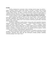 Hidroforų analizė COPRAS metodu 2 puslapis