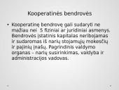 Teisinis subjektas – įmonė. Teisiniai įmonių tipai Lietuvoje ir jų palyginimas 11 puslapis