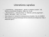 Teisinis subjektas – įmonė. Teisiniai įmonių tipai Lietuvoje ir jų palyginimas 15 puslapis