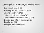 Teisinis subjektas – įmonė. Teisiniai įmonių tipai Lietuvoje ir jų palyginimas 3 puslapis