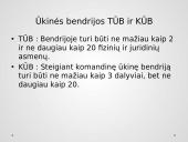 Teisinis subjektas – įmonė. Teisiniai įmonių tipai Lietuvoje ir jų palyginimas 5 puslapis