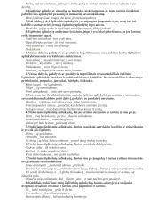 Išplėstinių dalyvinių, padalyvinių ir pusdalyvinių aplinkybių skyryba 2 puslapis