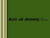 Vikingų kelionės 11 puslapis