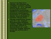 Vikingų kelionės 9 puslapis