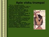 Vikingų kelionės 10 puslapis