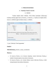 Referatas informatikai 6 puslapis