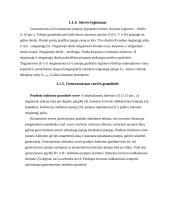 Generatorius referatas 14 puslapis