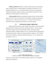 Generatorius referatas 16 puslapis
