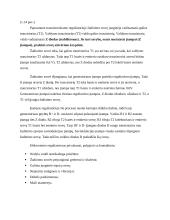 Generatorius referatas 18 puslapis