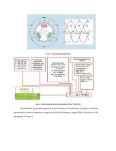 Generatorius referatas 9 puslapis