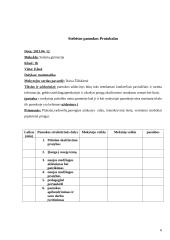 Pedagoginių sąlygų vaikų žaidybinei veiklai ir ugdymuisi įvertinimas 6 puslapis