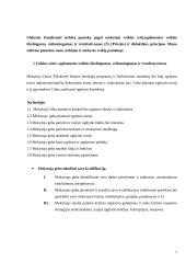 Pedagoginių sąlygų vaikų žaidybinei veiklai ir ugdymuisi įvertinimas 7 puslapis