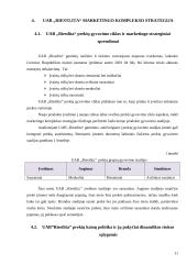 UAB „Riestlita“ marketingo veiklą įtakojantys veiksniai, formuojantys marketingo kompleksą bei strategijas specializacijos praktika 11 puslapis