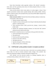 UAB „Riestlita“ marketingo veiklą įtakojantys veiksniai, formuojantys marketingo kompleksą bei strategijas specializacijos praktika 12 puslapis