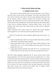 Teisės savarankiškas darbas 5 puslapis