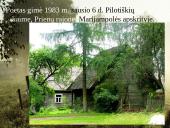 Vincas Mykolaitis Putinas (pristatymas) 2 puslapis