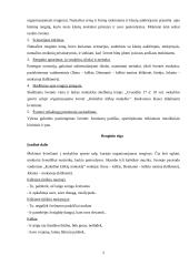 Kiškių mokykla kalėdinis scenarijus 2 puslapis