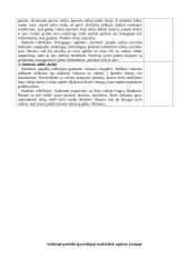 Specialiojo pedagogo stebimoji praktikos ataskaita 3 puslapis