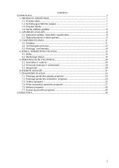 Boulingo klubo „Be stabdžių“ verslo planas 2 puslapis