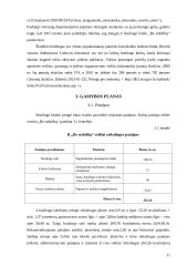 Boulingo klubo „Be stabdžių“ verslo planas 11 puslapis