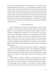 Boulingo klubo „Be stabdžių“ verslo planas 12 puslapis