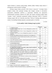 Boulingo klubo „Be stabdžių“ verslo planas 13 puslapis