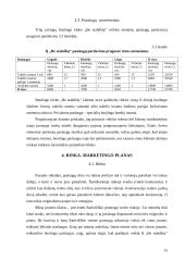 Boulingo klubo „Be stabdžių“ verslo planas 15 puslapis