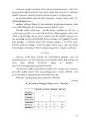 Boulingo klubo „Be stabdžių“ verslo planas 17 puslapis