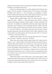 Boulingo klubo „Be stabdžių“ verslo planas 4 puslapis