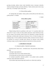 Boulingo klubo „Be stabdžių“ verslo planas 8 puslapis