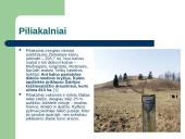 Lietuvos priešistorė skaidrės 19 puslapis