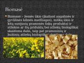 Biomasė 2 puslapis