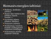 Biomasė 4 puslapis