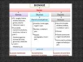 Biomasė 5 puslapis
