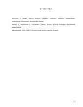 Žmogaus skeleto raumenys 11 puslapis