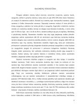 Žmogaus skeleto raumenys 4 puslapis