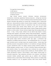 Žmogaus skeleto raumenys 6 puslapis