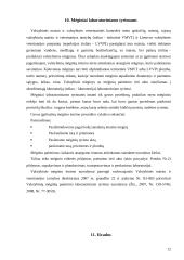 Maisto higienos praktikos ataskaita 12 puslapis