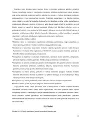 Maisto higienos praktikos ataskaita 13 puslapis