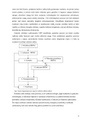Maisto higienos praktikos ataskaita 9 puslapis