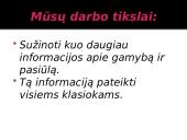 Gamyba ir pasiūla 2 puslapis