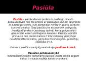 Gamyba ir pasiūla 12 puslapis