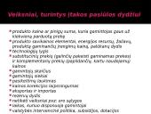 Gamyba ir pasiūla 14 puslapis