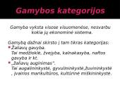 Gamyba ir pasiūla 4 puslapis