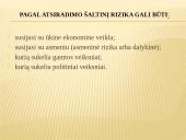 Ekonominė verslo rizika 2 puslapis