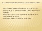 Ekonominė verslo rizika 4 puslapis